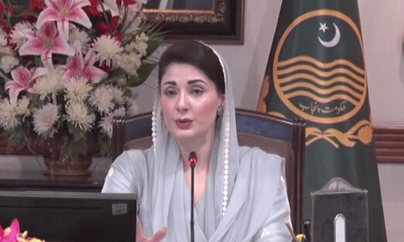 وزیراعلیٰ پنجاب مریم نواز کا چھوٹے کاروبار کے فروغ کے لیے بزنس کارڈ اسکیم متعارف کرانے کا فیصلہ 1 98