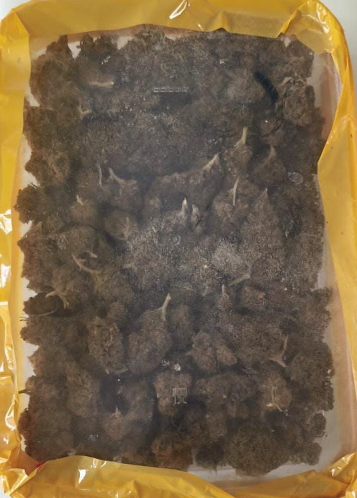 2ff80dc9 551d 4559 a0e0 33ba94e7149f