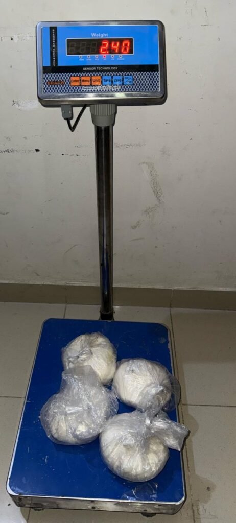 4eba3911 2773 4e09 b064 389c4fb21a95