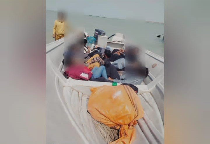 84e1cac3 90a2 4751 b6e5 5e832d9842e2