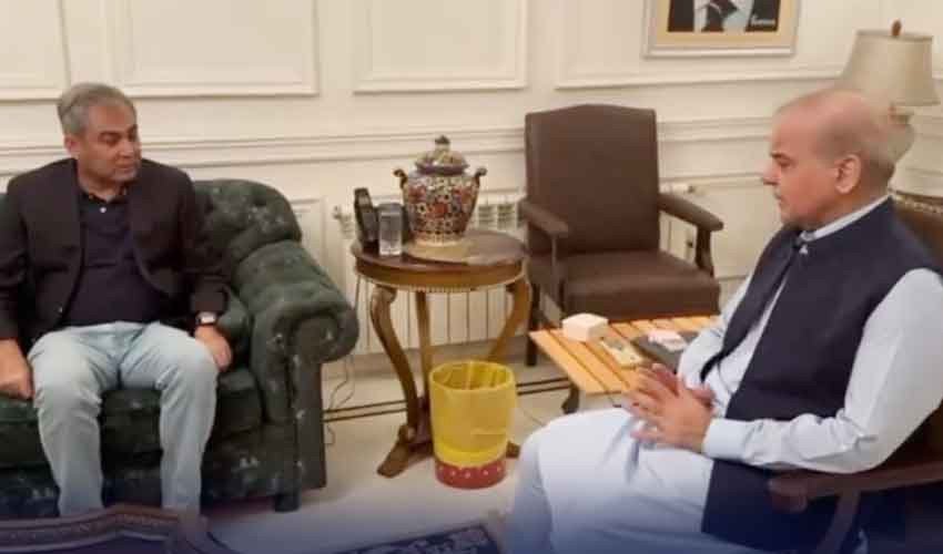 naqvi meets pm shehbaz