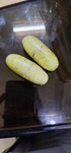 WhatsApp Image 2025 05 01 at 5.24.29 PM 3