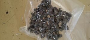 WhatsApp Image 2025 05 01 at 5.24.30 PM 1