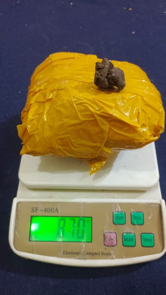 WhatsApp Image 2025 05 03 at 4.40.05 PM