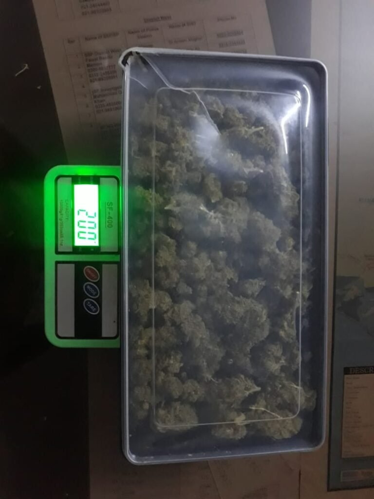 WhatsApp Image 2025 05 09 at 6.56.29 PM 1