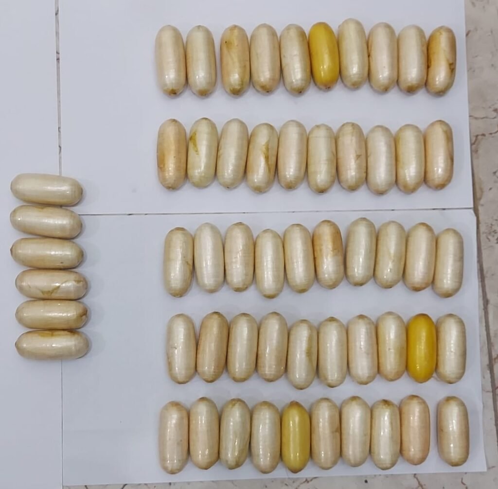 WhatsApp Image 2025 05 29 at 3.02.36 PM