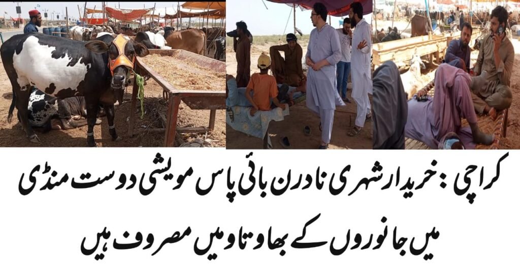 WhatsApp Image 2025 06 05 at 8.46.51 PM