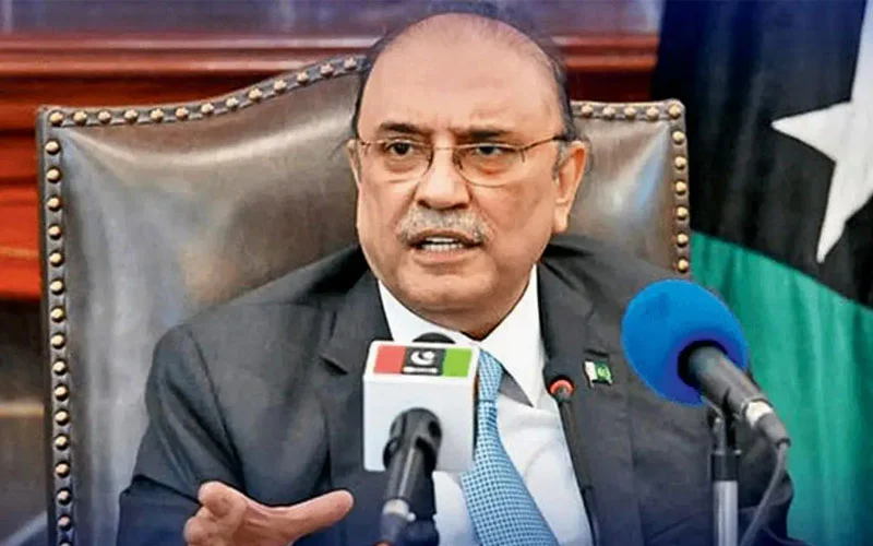 بھارت میں اقلیتیں تعصب کا شکار، ہندوتوا نظریہ خطے کے لیے خطرہ ہے: صدر آصف علی زرداری 1 asif zardari 5