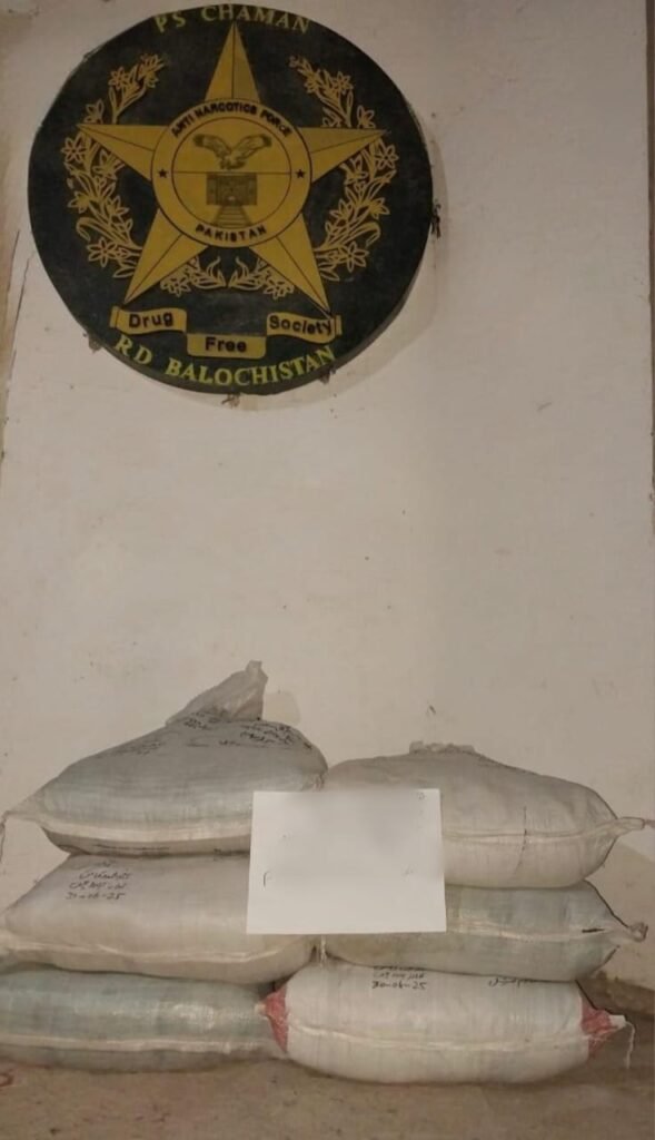 WhatsApp Image 2025 07 02 at 4.41.53 PM 2