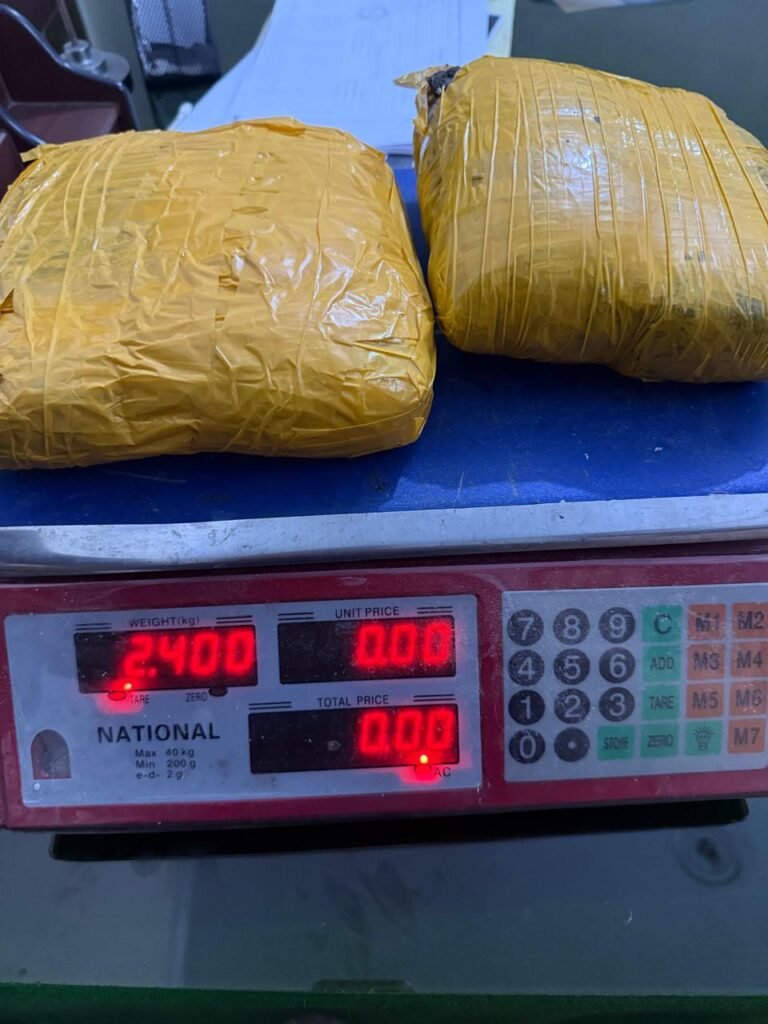 WhatsApp Image 2025 08 08 at 6.46.56 PM