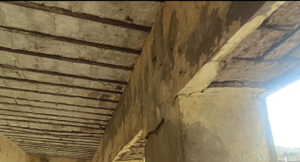 WhatsApp Image 2025 09 11 at 4.10.40 PM