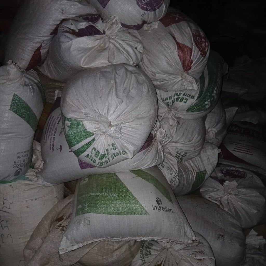 WhatsApp Image 2025 09 16 at 3.07.06 PM