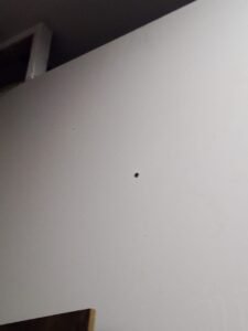 WhatsApp Image 2025 09 17 at 10.27.34 PM 1