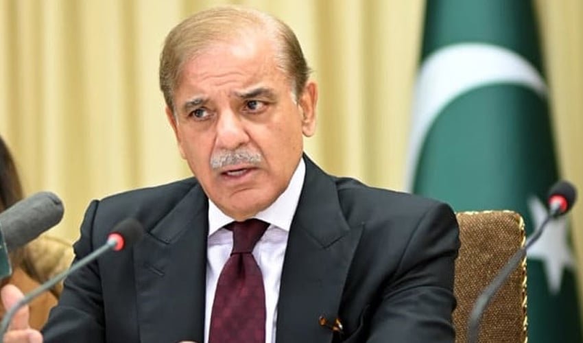 pm shehbaz economic plan