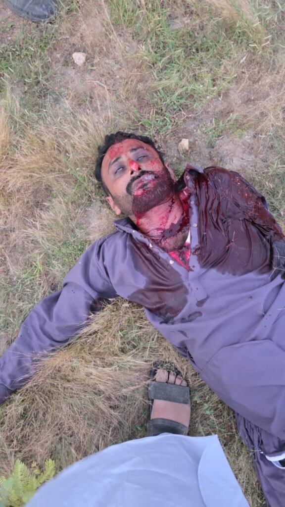 WhatsApp Image 2025 10 10 at 8.10.43 PM 1