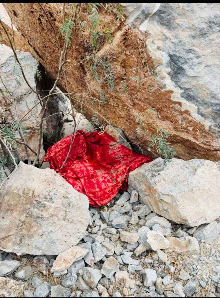 WhatsApp Image 2025 11 05 at 4.03.23 PM 2