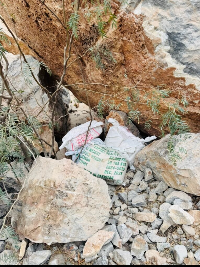 WhatsApp Image 2025 11 05 at 4.03.24 PM