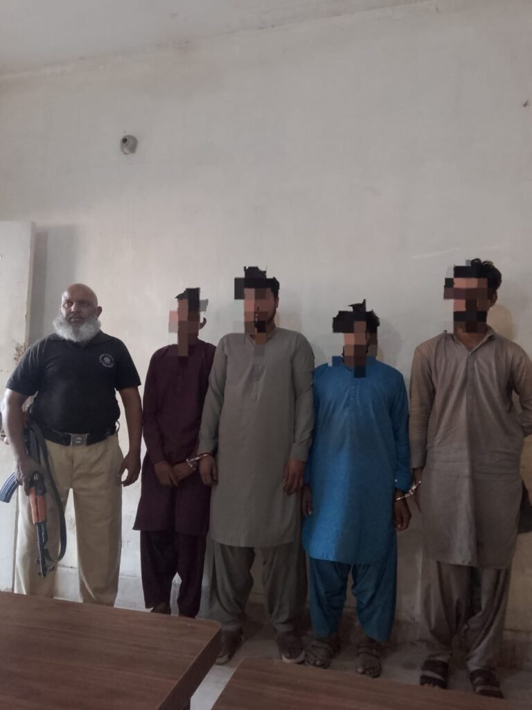 WhatsApp Image 2025 11 18 at 10.58.50 PM 1