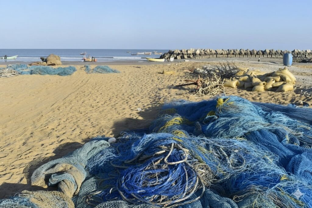 WhatsApp Image 2025 11 24 at 5.20.39 PM 1