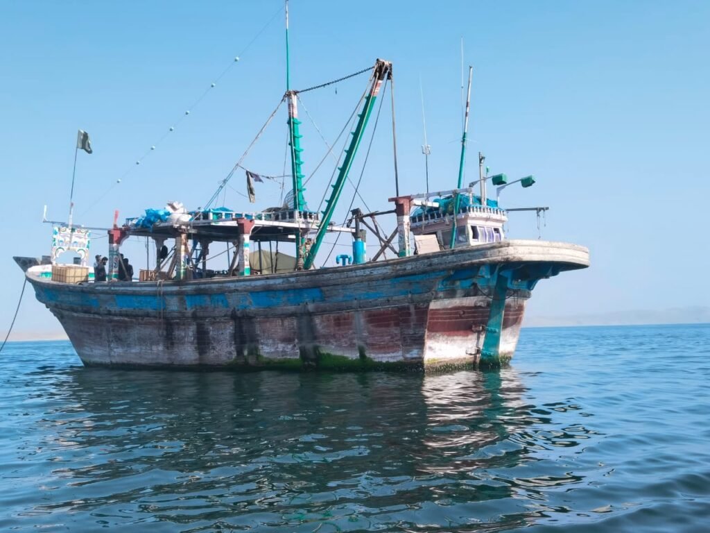 WhatsApp Image 2025 11 24 at 5.20.39 PM