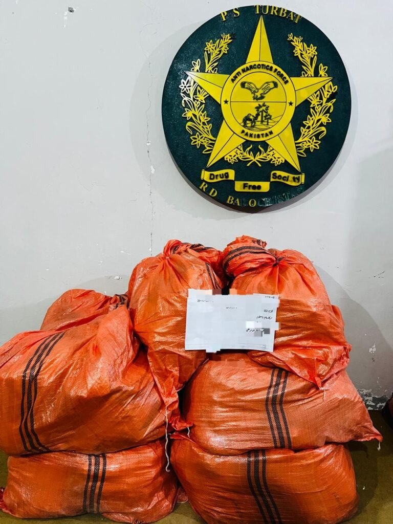 WhatsApp Image 2025 11 27 at 4.35.18 PM