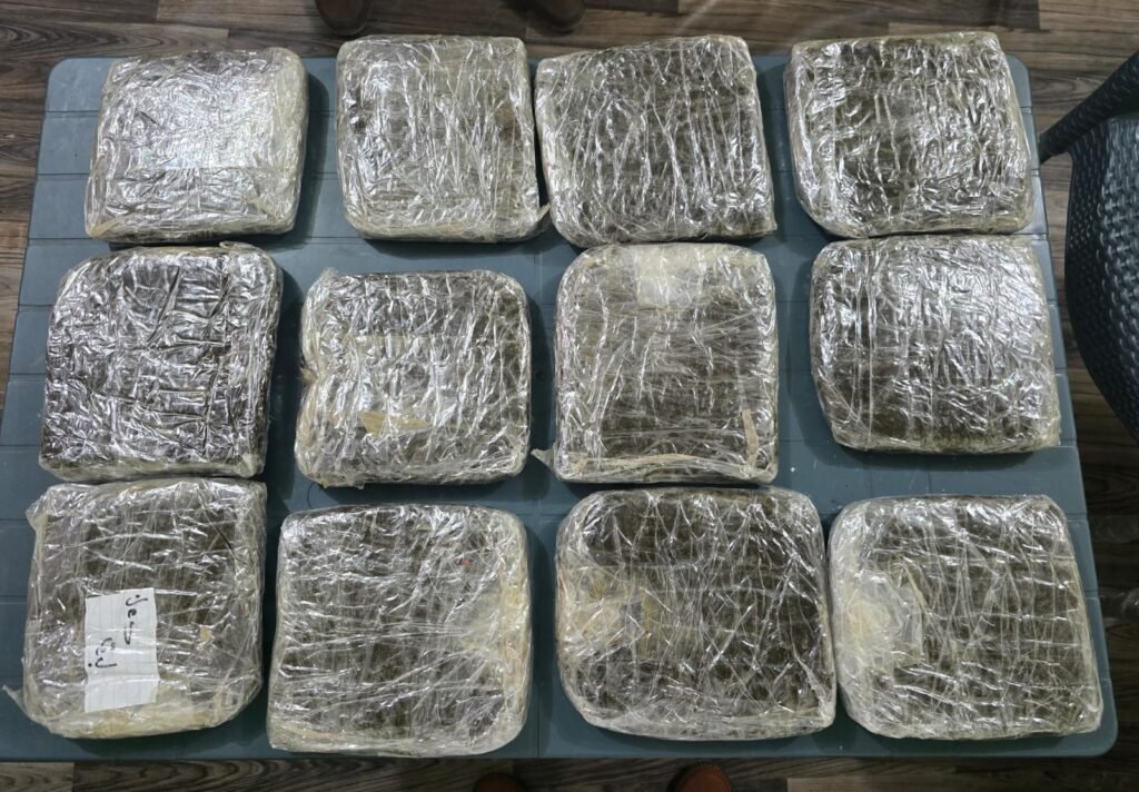 WhatsApp Image 2025 12 13 at 3.05.45 PM 1