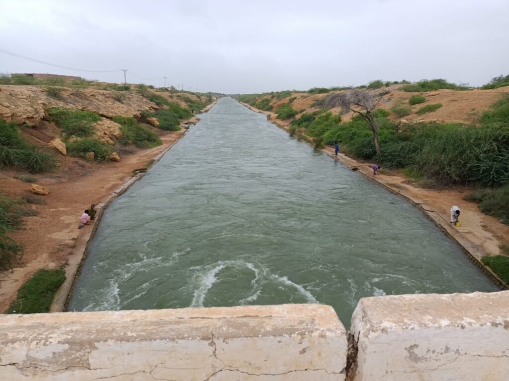 WhatsApp Image 2025 12 31 at 5.17.05 PM 1