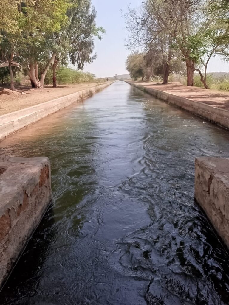 WhatsApp Image 2025 12 31 at 5.17.05 PM