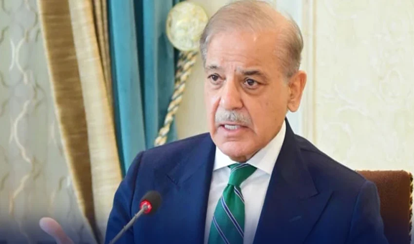 pm shehbaz sharif 2