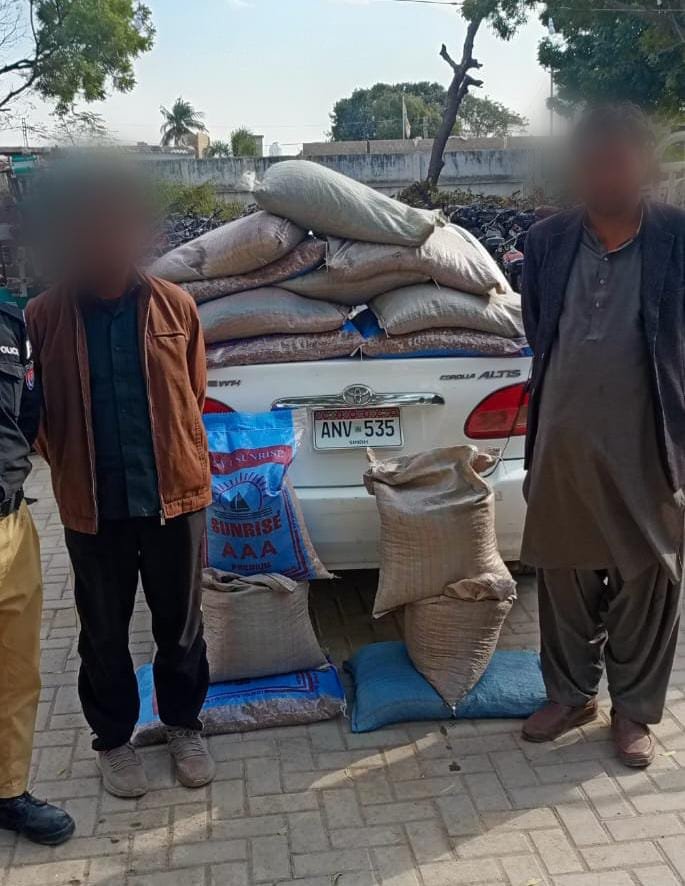 WhatsApp Image 2026 01 27 at 2.54.25 PM