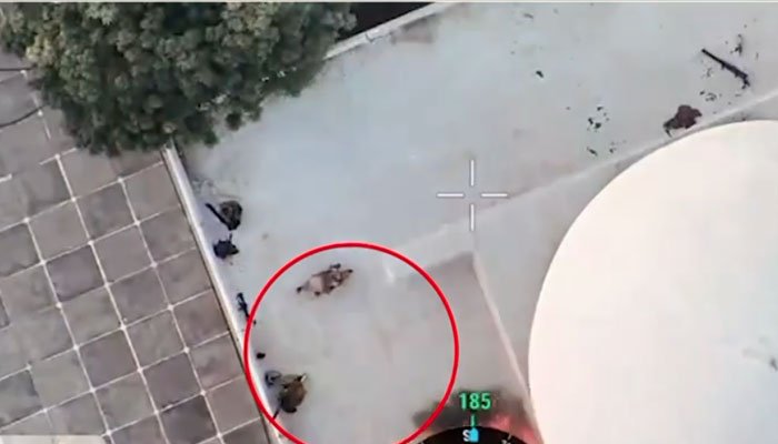 بلوچستان میں دہشت گرد حملے ناکام، سکیورٹی فورسز کی بڑی کارروائیاں — 3 خودکش بمباروں سمیت 92 دہشت گرد ہلاک 1 Add