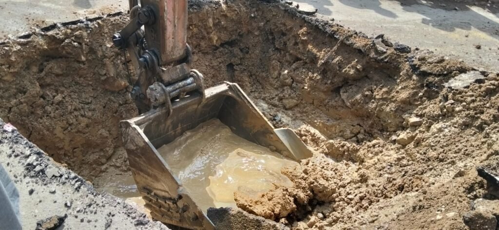 WhatsApp Image 2026 02 09 at 8.44.34 PM 3