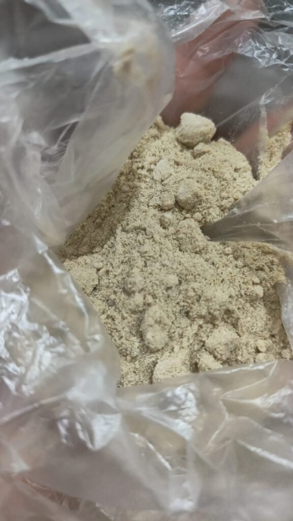 WhatsApp Image 2026 02 11 at 2.42.55 PM