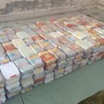 WhatsApp Image 2026 02 12 at 7.42.13 PM