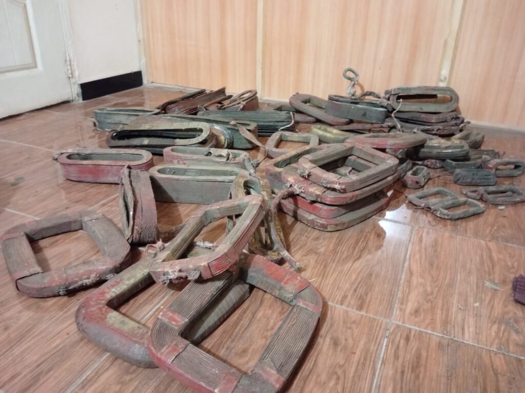 WhatsApp Image 2026 02 12 at 8.08.42 PM 1