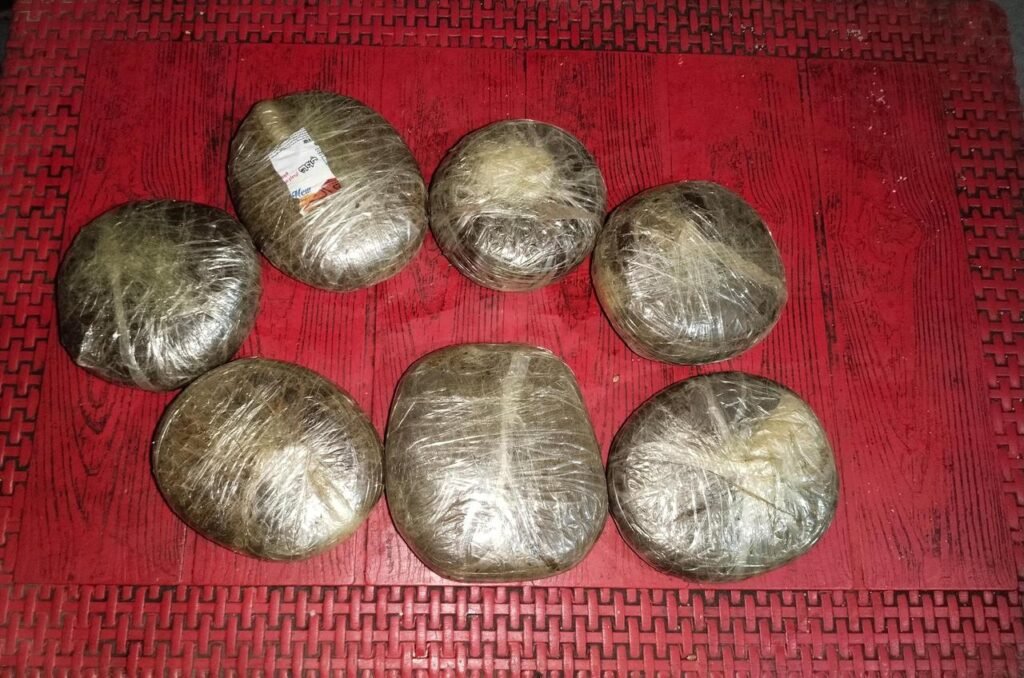 WhatsApp Image 2026 02 13 at 5.14.29 PM 1