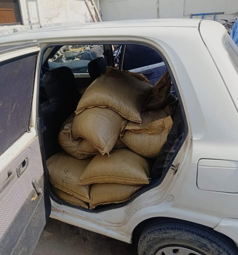 WhatsApp Image 2026 02 14 at 6.33.27 PM 1