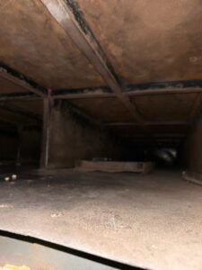 WhatsApp Image 2026 03 02 at 9.48.38 PM 1