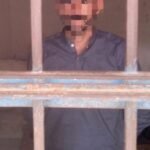 WhatsApp Image 2026 03 03 at 5.13.44 PM