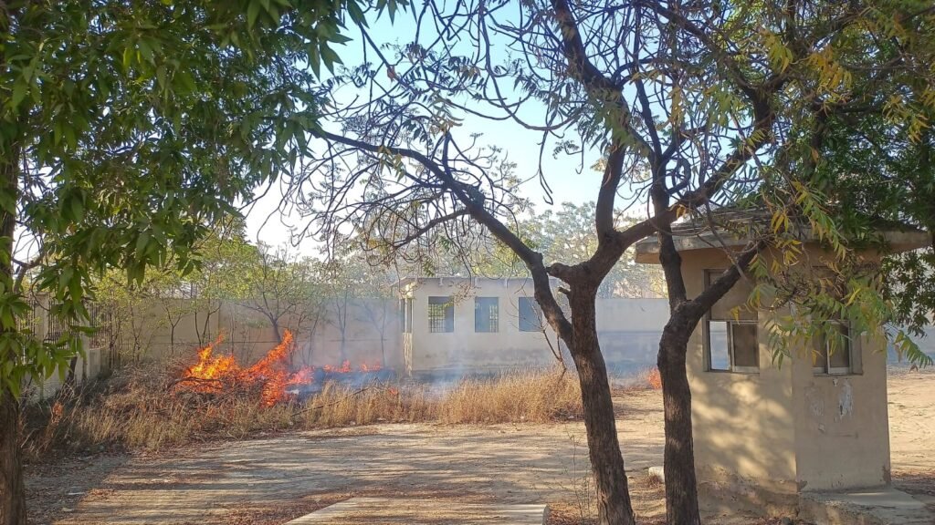 WhatsApp Image 2026 03 12 at 7.14.50 PM