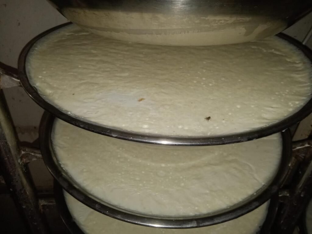 WhatsApp Image 2026 03 15 at 6.44.01 PM