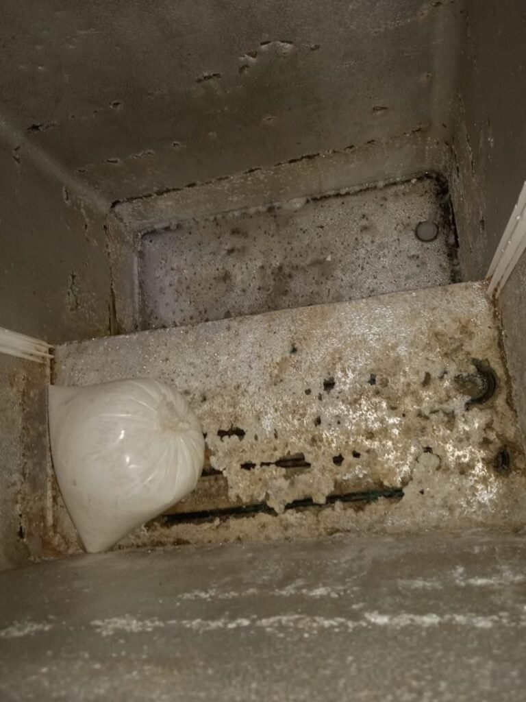 شاہ فیصل کالونی میں ناقص دودھ فروخت کرنے والی ڈیریوں کے خلاف جرمانے 5 WhatsApp Image 2026 03 15 at 6.44.02 PM 3