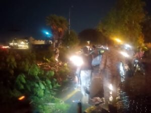 WhatsApp Image 2026 03 18 at 10.59.36 PM 3