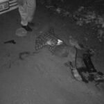 WhatsApp Image 2026 03 20 at 3.48.52 PM