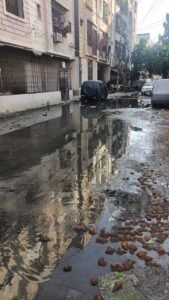 WhatsApp Image 2026 03 31 at 7.56.29 PM 1