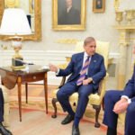 431518 7451355 updates