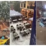 433119 2590220 updates