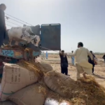 Screenshot 2026 04 08 210134