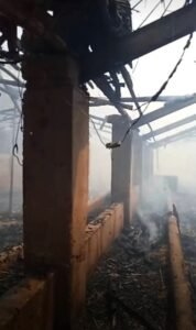 WhatsApp Image 2026 04 12 at 6.34.38 PM