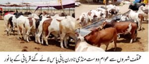 WhatsApp Image 2026 04 16 at 8.10.10 PM 1